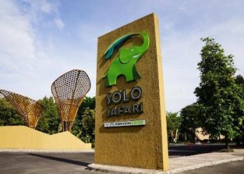 Solo Safari Memberikan Edukasi Kepada Masyarakat Tentang Alam dan Lingkungan