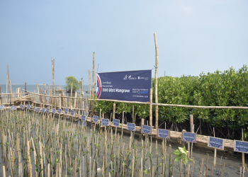 Asuransi Astra, Astra Infra, dan Astra Property Bersinergi Dukung Net Zero Emission