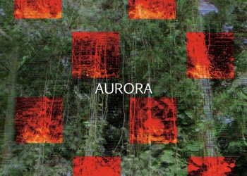 Band Rock Electric Bird Kritik Kerusakan Alam Lewat Single Aurora