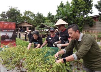 Gerakkan Urban Farming, Bank DBS Perkuat Komunitas Rentan dan Ketahanan Pangan
