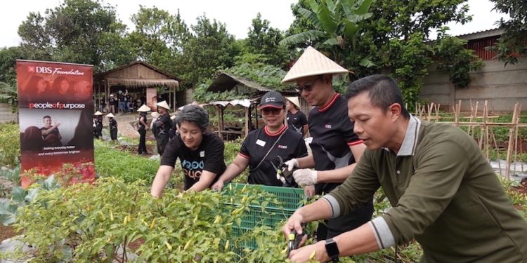 Gerakkan Urban Farming, Bank DBS Perkuat Komunitas Rentan dan Ketahanan Pangan